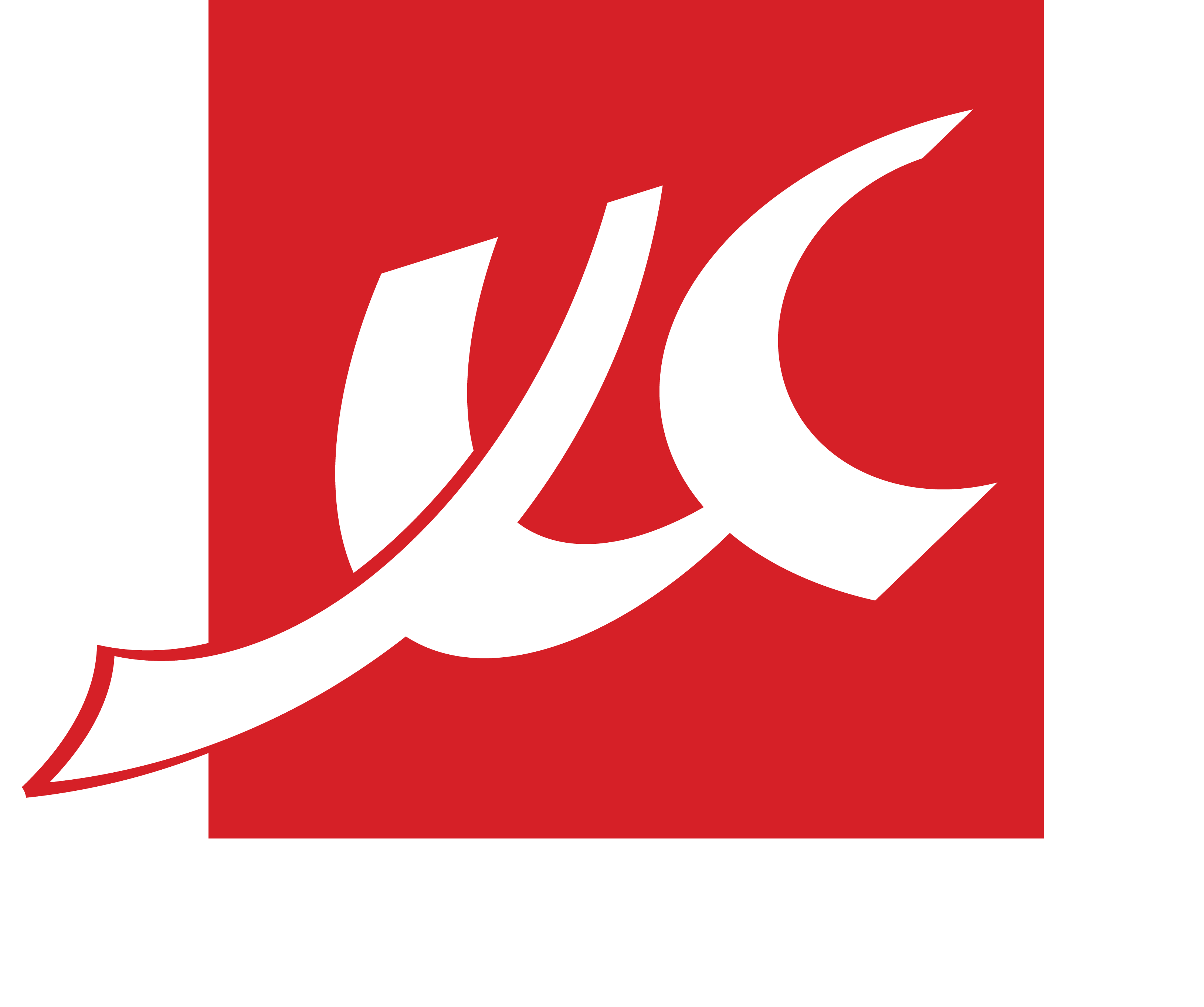 Xuan Cau Holdings Logo